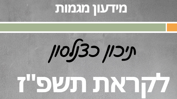 צילום מסך 2026-06-10 180800